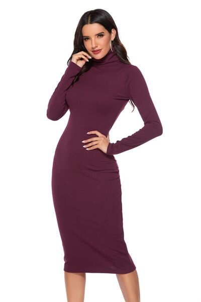 Ribbed Turtleneck Long Sleeve Dress (5 Variants)