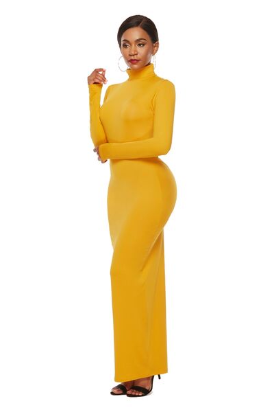 Long Sleeve Turtle Neck Body Con Maxi Dress (8 Variants)