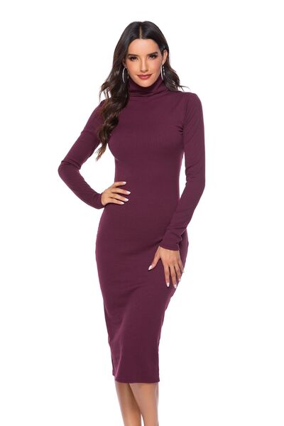 Ribbed Turtleneck Long Sleeve Dress (5 Variants)