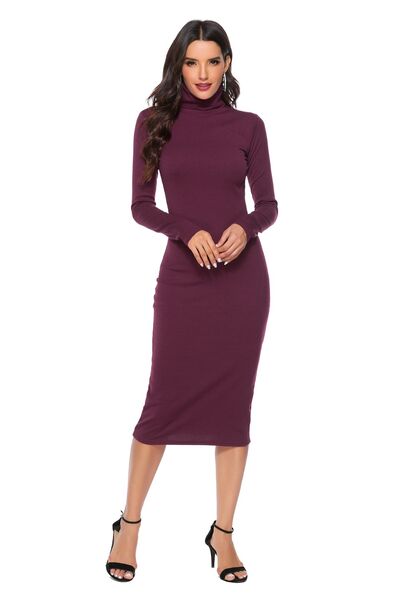 Ribbed Turtleneck Long Sleeve Dress (5 Variants)