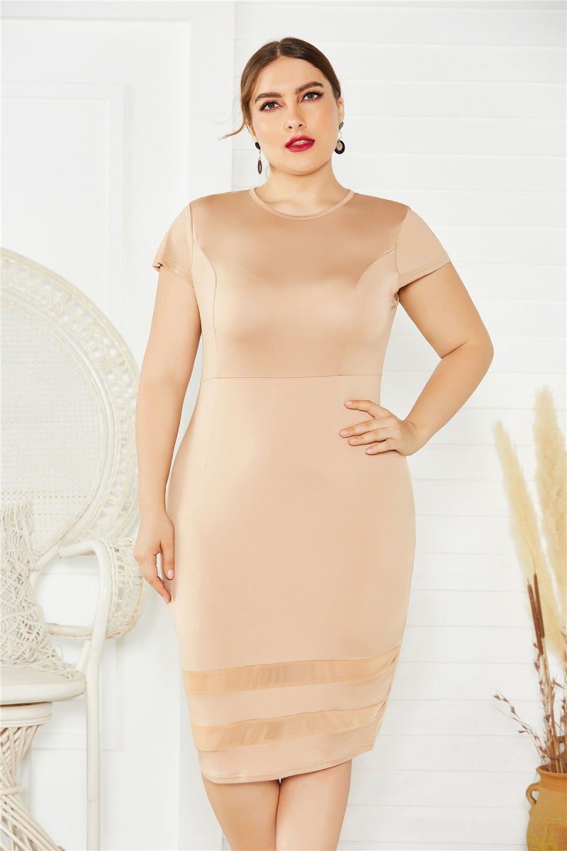 Plus Size Mesh Detail Midi Dress (3 Variants)