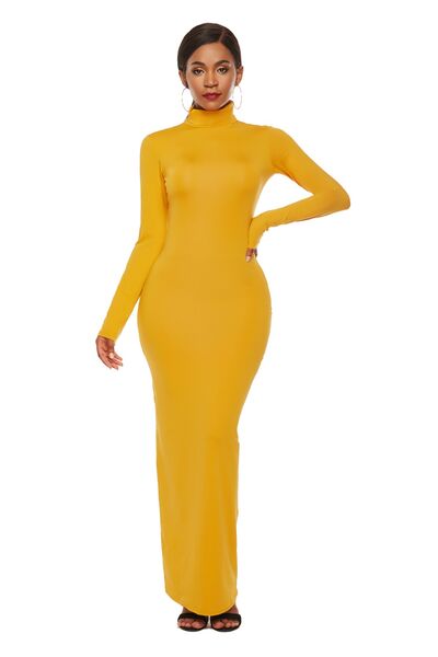 Long Sleeve Turtle Neck Body Con Maxi Dress (8 Variants)